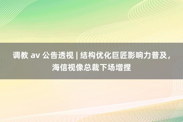 调教 av 公告透视 | 结构优化巨匠影响力普及，海信视像总裁下场增捏