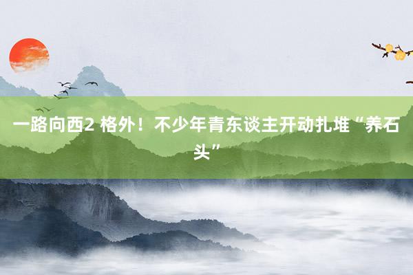 一路向西2 格外！不少年青东谈主开动扎堆“养石头”