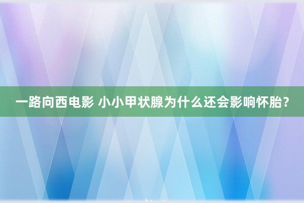 一路向西电影 小小甲状腺为什么还会影响怀胎？