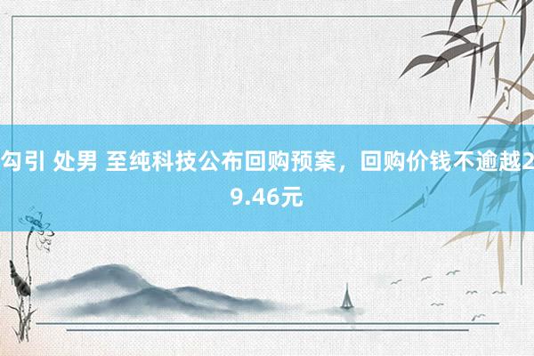 勾引 处男 至纯科技公布回购预案，回购价钱不逾越29.46元