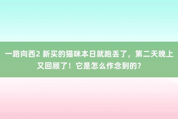 一路向西2 新买的猫咪本日就跑丢了，第二天晚上又回顾了！它是怎么作念到的？