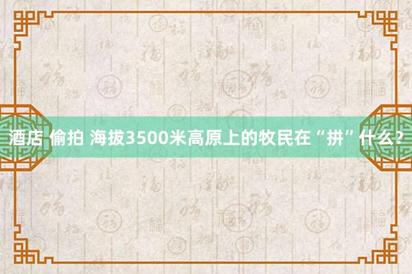 酒店 偷拍 海拔3500米高原上的牧民在“拼”什么？