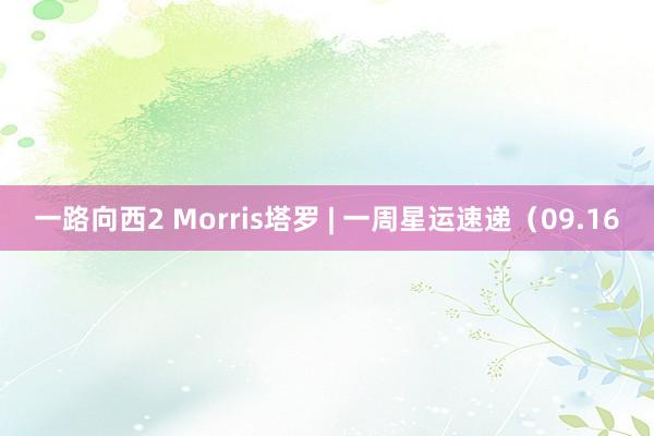 一路向西2 Morris塔罗 | 一周星运速递（09.16