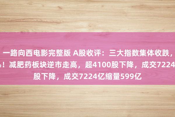 一路向西电影完整版 A股收评：三大指数集体收跌，沪指跌0.92%！减肥药板块逆市走高，超4100股下降，成交7224亿缩量599亿