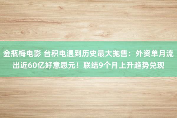 金瓶梅电影 台积电遇到历史最大抛售：外资单月流出近60亿好意思元！联结9个月上升趋势兑现