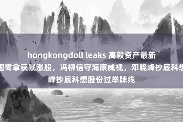 hongkongdoll leaks 高毅资产最新执仓曝光！邱国鹭拿获暴涨股，冯柳信守海康威视，邓晓峰抄底科想股份过举牌线