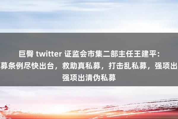 巨臀 twitter 证监会市集二部主任王建平：将推动私募条例尽快出台，救助真私募，打击乱私募，强项出清伪私募