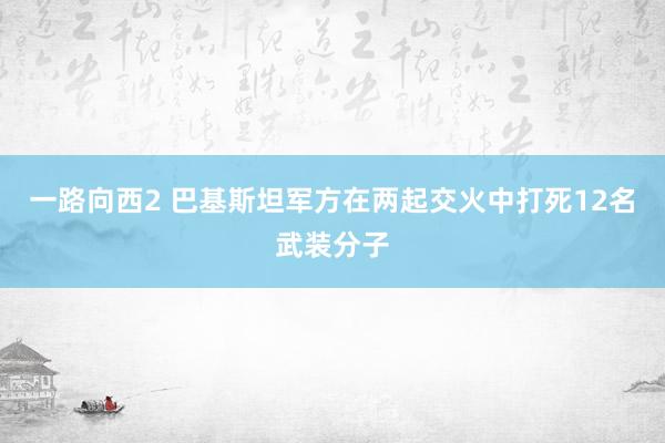 一路向西2 巴基斯坦军方在两起交火中打死12名武装分子