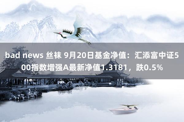 bad news 丝袜 9月20日基金净值：汇添富中证500指数增强A最新净值1.3181，跌0.5%