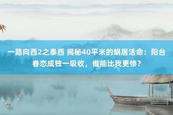 一路向西2之泰西 揭秘40平米的蜗居活命：阳台眷恋成独一吸收，谁能比我更惨？