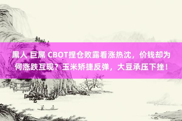 黑人 巨屌 CBOT捏仓败露看涨热沈，价钱却为何涨跌互现？玉米矫捷反弹，大豆承压下挫！