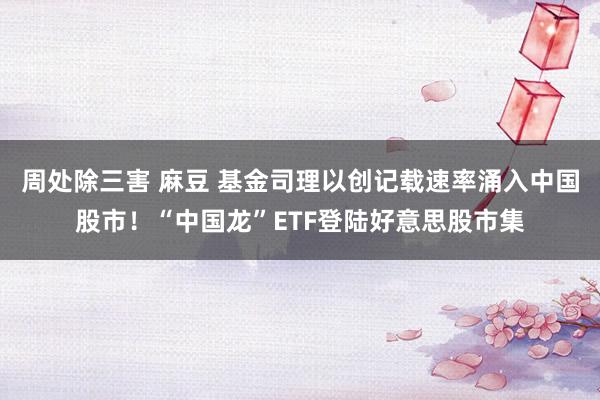 周处除三害 麻豆 基金司理以创记载速率涌入中国股市！“中国龙”ETF登陆好意思股市集