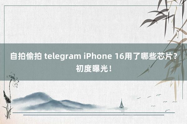 自拍偷拍 telegram iPhone 16用了哪些芯片？初度曝光！