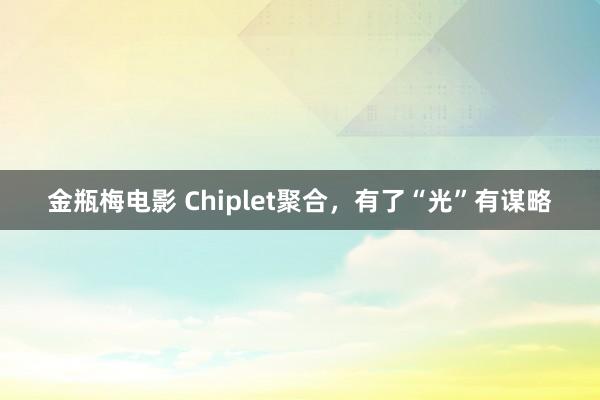 金瓶梅电影 Chiplet聚合，有了“光”有谋略