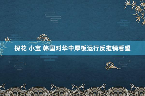 探花 小宝 韩国对华中厚板运行反推销看望