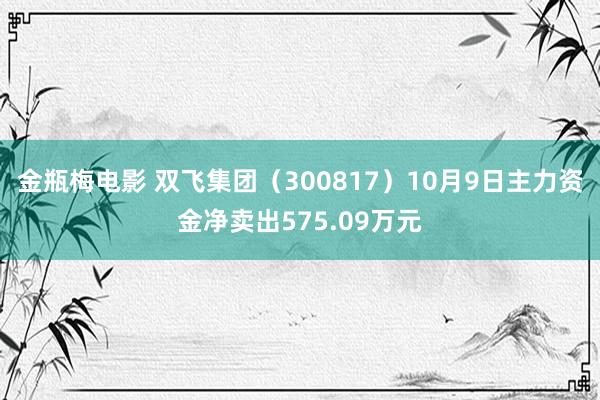 金瓶梅电影 双飞集团（300817）10月9日主力资金净卖出575.09万元