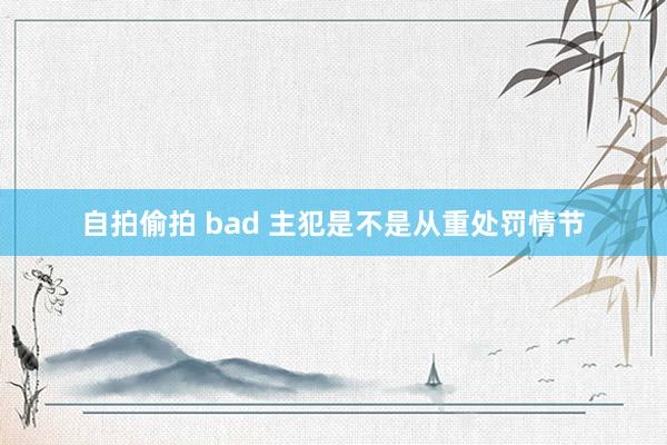 自拍偷拍 bad 主犯是不是从重处罚情节