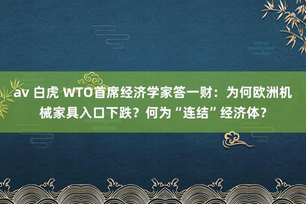 av 白虎 WTO首席经济学家答一财：为何欧洲机械家具入口下跌？何为“连结”经济体？