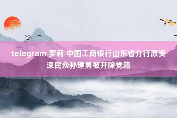 telegram 萝莉 中国工商银行山东省分行原资深民众孙建勇被开除党籍