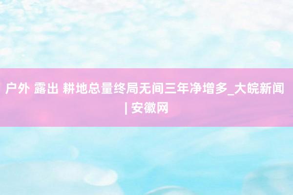 户外 露出 耕地总量终局无间三年净增多_大皖新闻 | 安徽网