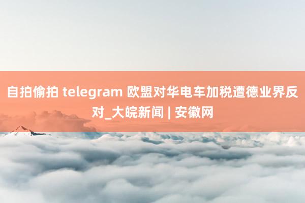 自拍偷拍 telegram 欧盟对华电车加税遭德业界反对_大皖新闻 | 安徽网