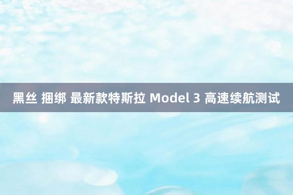 黑丝 捆绑 最新款特斯拉 Model 3 高速续航测试