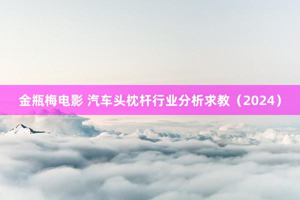 金瓶梅电影 汽车头枕杆行业分析求教（2024）