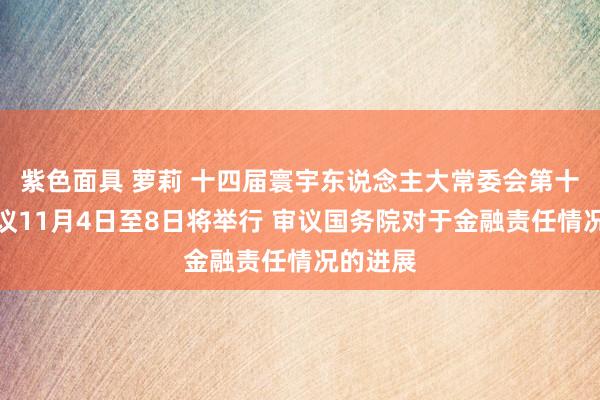 紫色面具 萝莉 十四届寰宇东说念主大常委会第十二次会议11月4日至8日将举行 审议国务院对于金融责任情况的进展