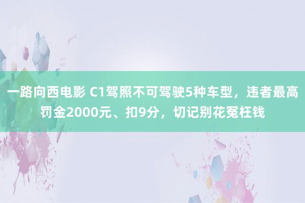 一路向西电影 C1驾照不可驾驶5种车型，违者最高罚金2000元、扣9分，切记别花冤枉钱