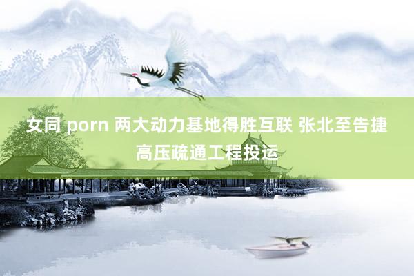 女同 porn 两大动力基地得胜互联 张北至告捷高压疏通工程投运