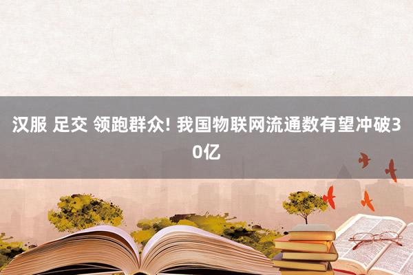 汉服 足交 领跑群众! 我国物联网流通数有望冲破30亿