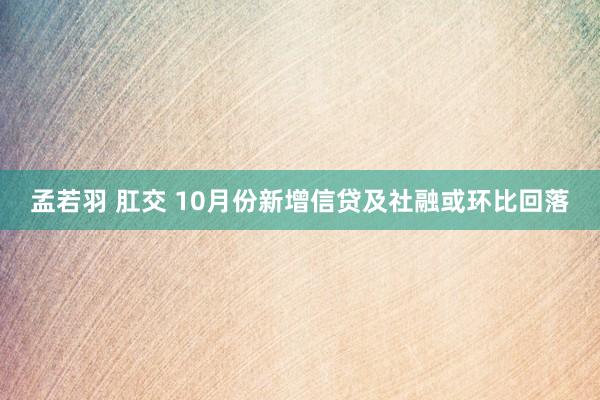 孟若羽 肛交 10月份新增信贷及社融或环比回落