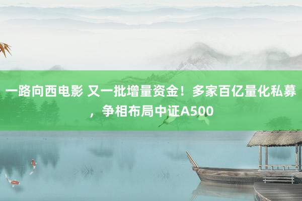 一路向西电影 又一批增量资金！多家百亿量化私募，争相布局中证A500