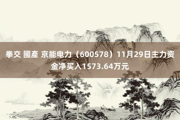 拳交 國產 京能电力（600578）11月29日主力资金净买入1573.64万元