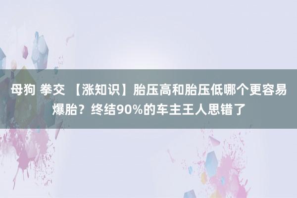 母狗 拳交 【涨知识】胎压高和胎压低哪个更容易爆胎？终结90%的车主王人思错了