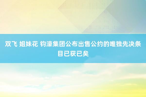 双飞 姐妹花 钧濠集团公布出售公约的唯独先决条目已获已矣