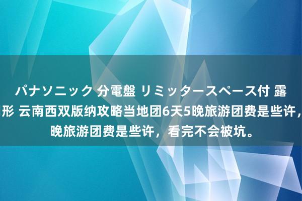 パナソニック 分電盤 リミッタースペース付 露出・半埋込両用形 云南西双版纳攻略当地团6天5晚旅游团费是些许，看完不会被坑。