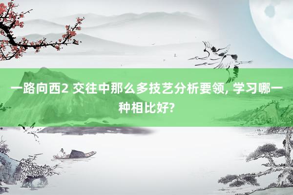 一路向西2 交往中那么多技艺分析要领， 学习哪一种相比好?