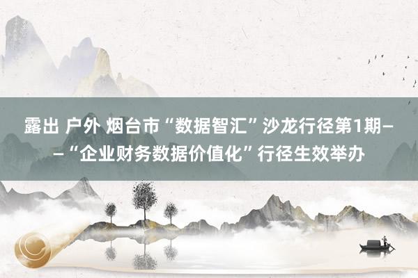 露出 户外 烟台市“数据智汇”沙龙行径第1期——“企业财务数据价值化”行径生效举办