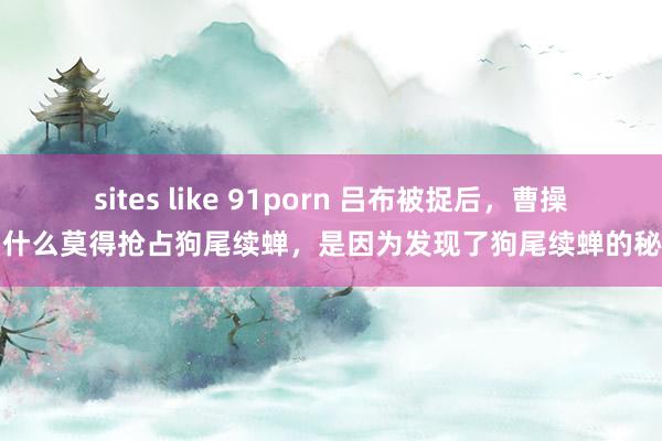 sites like 91porn 吕布被捉后，曹操为什么莫得抢占狗尾续蝉，是因为发现了狗尾续蝉的秘密