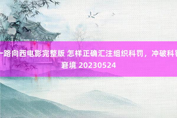 一路向西电影完整版 怎样正确汇注组织科罚，冲破科罚窘境 20230524