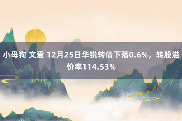 小母狗 文爱 12月25日华锐转债下落0.6%，转股溢价率114.53%