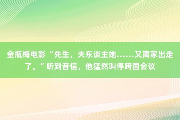 金瓶梅电影 “先生，夫东谈主她……又离家出走了。”听到音信，他猛然叫停跨国会议