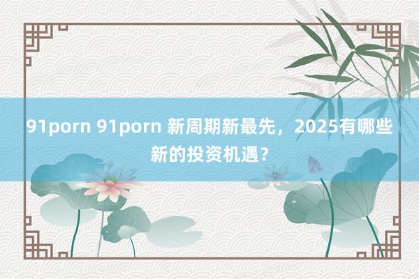 91porn 91porn 新周期新最先，2025有哪些新的投资机遇？