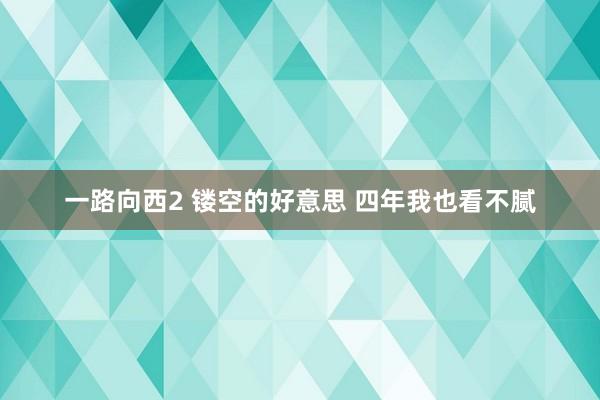 一路向西2 镂空的好意思 四年我也看不腻