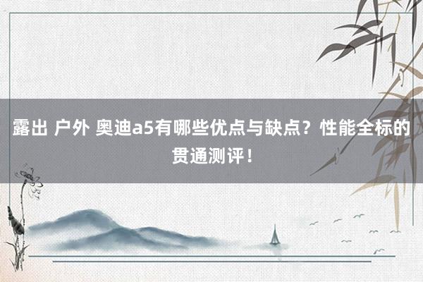 露出 户外 奥迪a5有哪些优点与缺点？性能全标的贯通测评！