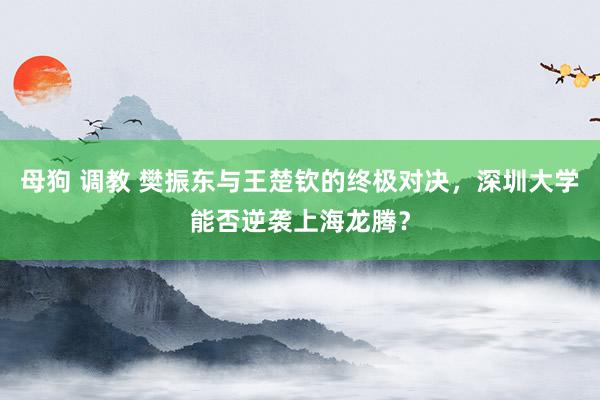 母狗 调教 樊振东与王楚钦的终极对决，深圳大学能否逆袭上海龙腾？