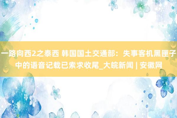 一路向西2之泰西 韩国国土交通部：失事客机黑匣子中的语音记载已索求收尾_大皖新闻 | 安徽网