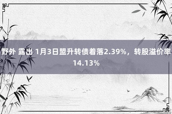 野外 露出 1月3日盟升转债着落2.39%，转股溢价率14.13%