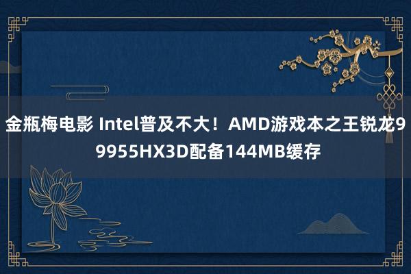 金瓶梅电影 Intel普及不大！AMD游戏本之王锐龙9 9955HX3D配备144MB缓存